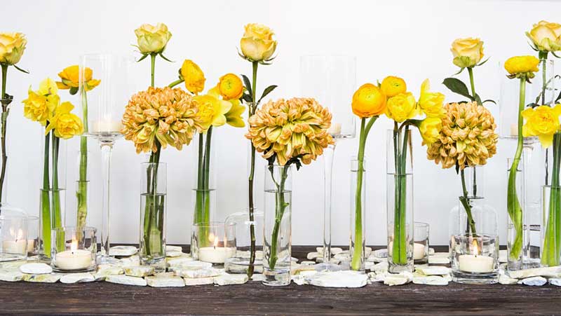 quince-flowers-toronto-yellow-flowers.jpg