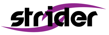 Florist 2.0 From Strider Search Marketing
